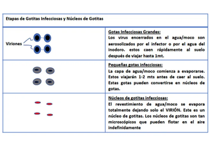 Gotas infecciosas y núcleos de gotitas