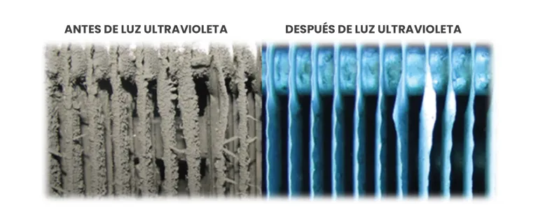 Serpentín antes y después de la luz ultravioleta